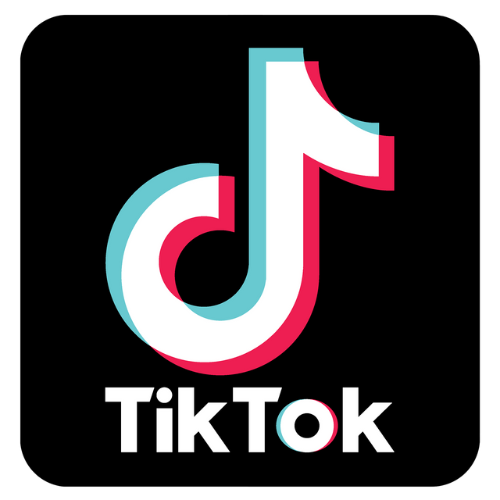 Shares TikTok (100 🔗)